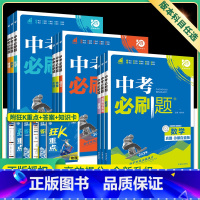 化学(重难题突破) 初中通用 [正版]2024中考八九年级上册下册初中数学语文物理化学英语生物政治历史地理人教版全套总复