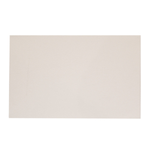 天孚 TF24BH010-YC 长420*宽300mm 标贴 1.00张/盒(计价单位:盒)白色