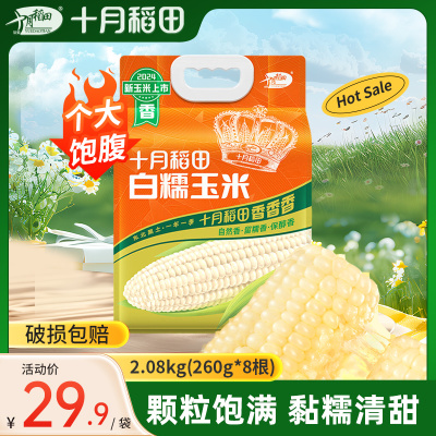 十月稻田白糯玉米4.16斤260g*8根东北甜糯玉米棒低脂饱腹真空装