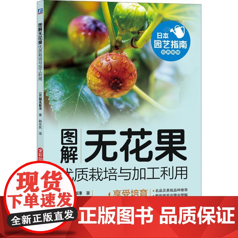机工 图解无花果优质栽培与加工利用 [日]细见彰洋 著 赵长民 译