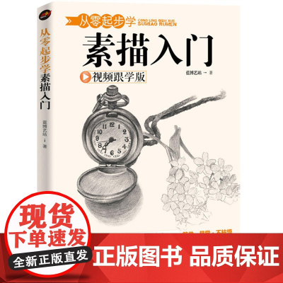 从零起步学素描入门