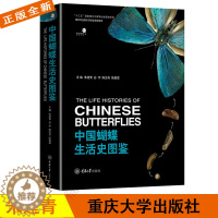 [醉染正版]中国蝴蝶生活史图鉴 264种国内蝴蝶的生活史及幼期特征蝴蝶的分类生物学等基础知识蝴蝶生活史图鉴大全书籍科普读