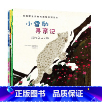 默认分册名 [正版]珍稀动物大揭秘系列绘本 大海的宝贝 3-7岁儿童 动物绘本