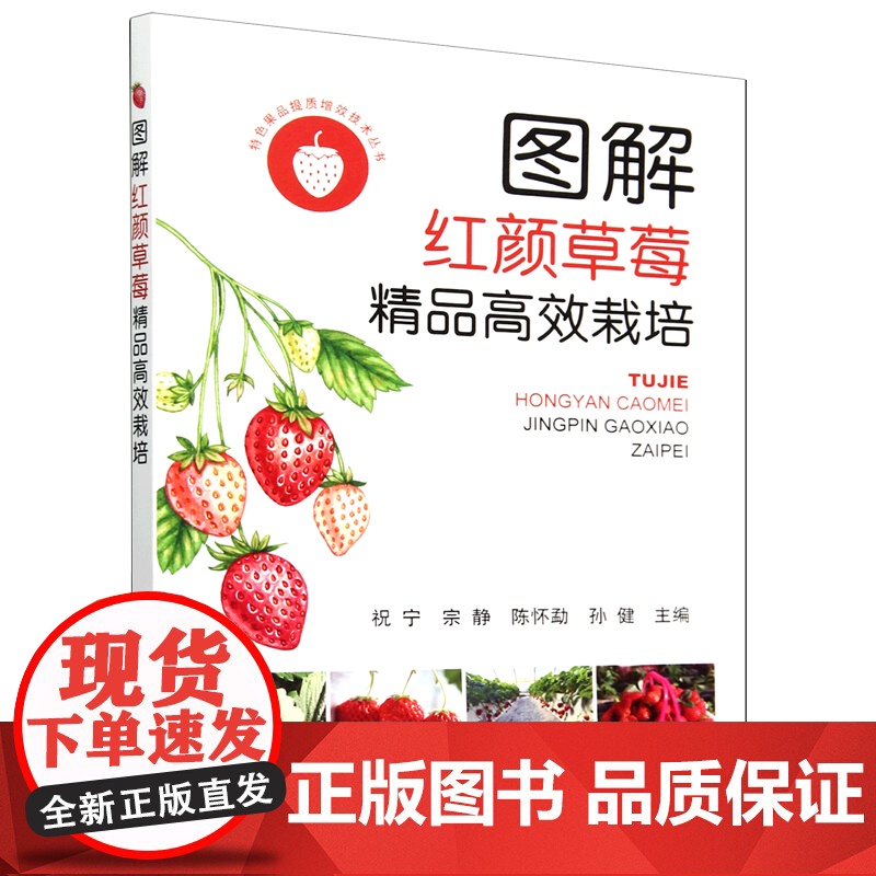 图解红颜草莓精品高效栽培 9787109323247 /特色果品提质增效技术丛书 祝宁 宗静 陈怀勐 孙健 编 中国