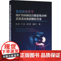 书籍正版 规条件下尾矿坝体静动力稳定分析及其溃决演进模拟方法 杨鹏 冶金工业出版社 工业技术 9787502497576