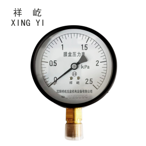 祥屹+膜盒压力表检测定制型+YE100+块