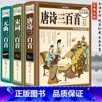 [正版]唐诗宋词元曲全集3册精装版 中国诗词大会原文译文注解赏析全彩青少年课外书籍唐诗宋词元曲三百首大全集鉴赏辞典中华