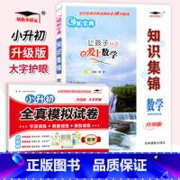 套装2本[知识集锦+全真测试卷] 小学通用 [正版]2023知识集锦 数学 升级版全国通用 小学生一二三四五六年级数学基