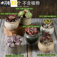 三维工匠多肉花盆陶瓷粗陶透气复古老桩肉肉创意小盆批发 套装八十二 中等花盆容器
