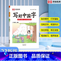 二年级上册 语文 [正版]抖音同款小学生写好中国字正楷临摹儿童硬笔楷书一年级二年级三四上册下册同步练字帖课课练控笔训练五