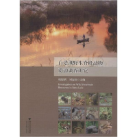 正版新书]白塔湖野生脊椎动物资源调查研究刘宝权9787308196949
