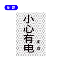 衡睿 反光贴印刷号码牌 300*200 张