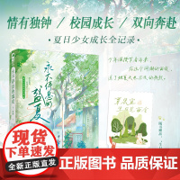 永不停息的盛夏 夏日少女成长全记录 十二里闲著大鱼文化 情有独钟 校园成长 双向奔赴 校园言情文学作品 贵州人民出版社