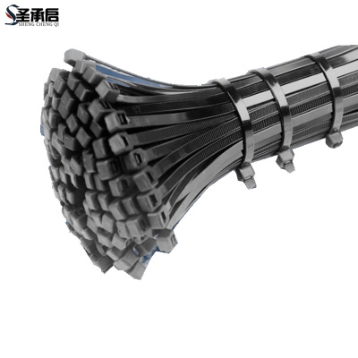 圣承启 塑料扎带 4*200mm根