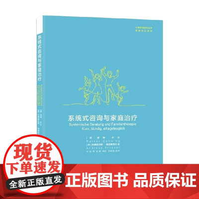 系统式咨询与家庭治疗 瑞纳·史汶等 著 心理学
