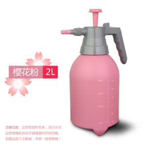 家柏饰(CORATED)园艺小型手动气压式压力浇花壶喷壶喷雾锁扣式家用绿植浇水壶