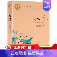 [正版]全新 青鸟书 世界名著书籍青少年版9-12-15岁儿童文学小说四年级课外书 外国文学 名家名译 中小学生