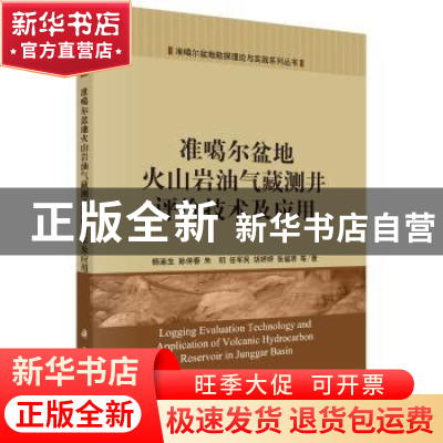 正版 准噶尔盆地火山岩油气藏测井评价技术及应用 杨迪生等著 科