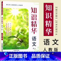 [正版]2023 知识精华语文人教版全国通用小学生1-6年级统编语文基础知识大全速记速查小升初语文总复习资料知识集锦阅