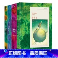 TEEN经典-4册套装 [正版]TEEN经典系列儿童文学小王子柳林风声爱丽丝梦游奇境记秘密花园8-9-10-11-12岁