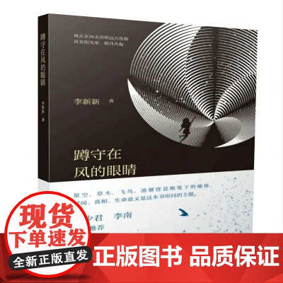 蹲守在风的眼睛