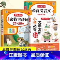 [全3册]小学必背文学常识+古诗文129首+文言文 小学通用 [正版]小学生必背文学常识一二三四五六年级语文基础知识积累