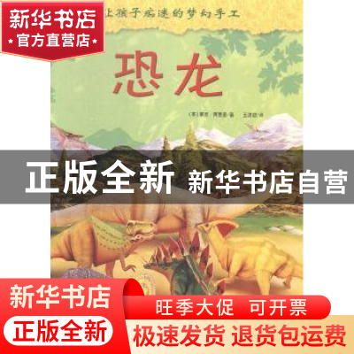 正版 让孩子痴迷的梦幻手工(全5册) (英)莱恩·阿斯曼著 九州出