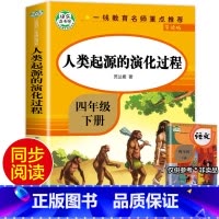 [四年级下]人类起源的演化过程 [正版]四年级下册阅读课外书全套四下快乐读书吧书目4年级下册 十万个为什么四年级下册灰尘