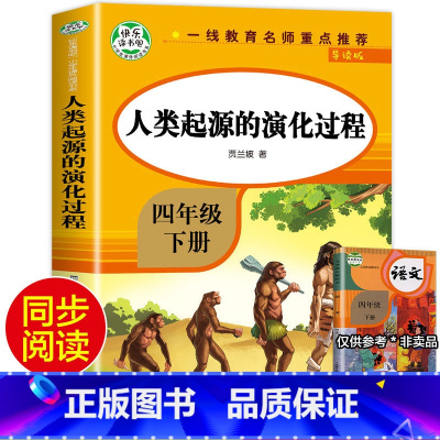 [四年级下]人类起源的演化过程 [正版]四年级下册阅读课外书全套四下快乐读书吧书目4年级下册 十万个为什么四年级下册灰尘