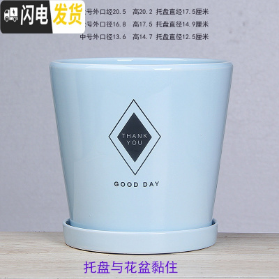 三维工匠白色欧式花盆陶瓷特大中三号绿植盆栽创意简约花盆带托盘 T-GJ300-13蓝菱形 中等花盆容器