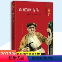 [正版]铁道游击队/红色经典儿童文学系列 小学生课外阅读书籍爱国教育主题读物成长励志书籍三四五六年级课外书阅读南京大学