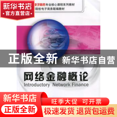 正版 网络金融概论 叶蔚,袁清文 主编 北京大学出版社 978730110