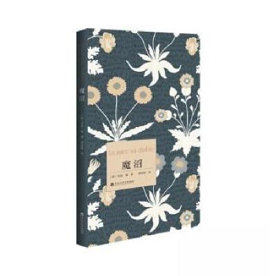 正版新书]魔沼·桑9787550051768