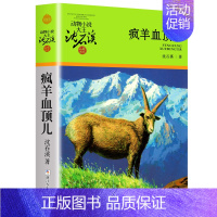 疯羊血顶儿 [正版]沈石溪动物小说品藏书系列全集36册狼王梦斑羚飞渡后一头战象雪豹悲歌混血豺王第七条猎狗十大经典阅读必书