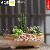 三维工匠可画画上色彩多肉小花盆陶瓷粗陶透气创意肉肉植物盆 紫红色图片款[1个装] 中等花盆容器