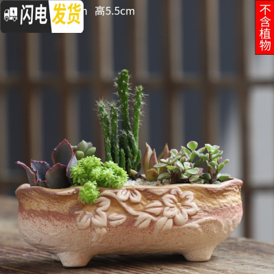 三维工匠可画画上色彩多肉小花盆陶瓷粗陶透气创意肉肉植物盆 紫红色图片款[1个装] 中等花盆容器