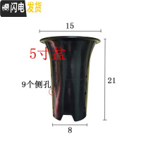 三维工匠园艺兰花盆塑料大中小号透气黑色带孔国兰君子兰墨兰花专用盆 5寸 同规格10个(送网套)花盆容器