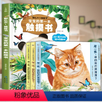触摸书合集[共4册] [正版]小手摸摸大自然触摸书 幼儿早教触摸绘本1岁半宝宝婴儿书0-2-3岁撕不烂感官刺激训练玩具书
