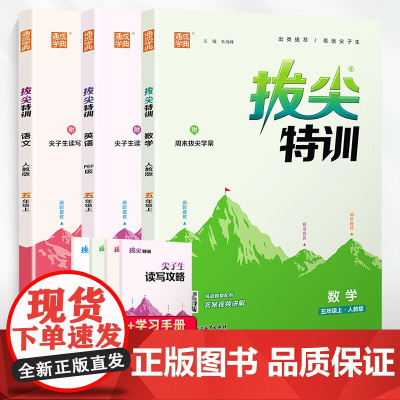 套装3册 2024秋拔尖特训五年级语文数学英语上册人教版 五年级语文数学英语教材同步训练讲解实验班提优训练辅导书 通城