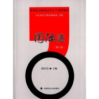 音像国际法周洪钧 主编