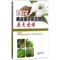 正版新书]棉花病虫害诊断及防治原色图谱雒珺瑜9787508287539