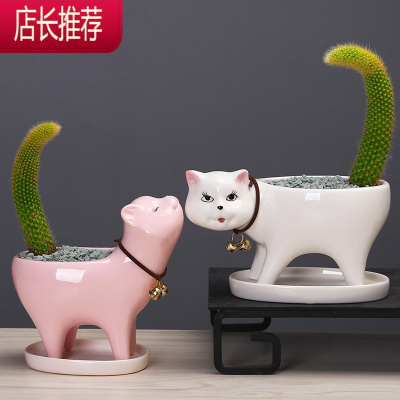 猫花盆价格 猫花盆最新报价 猫花盆多少钱 苏宁易购