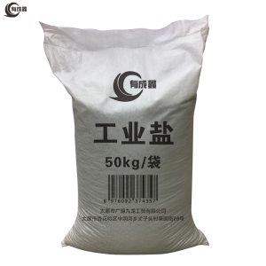 有成鑫 工业盐 50KG 袋