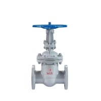 伟鹏双兴 铸钢法兰式闸阀 DN350 台