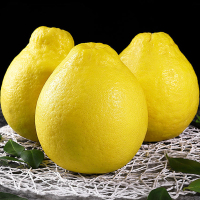 [西沛生鲜]新鲜梅州沙田柚子 大果 净重11.7斤 5-7个 新鲜柚子水果 蜜柚