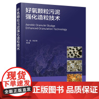 好氧颗粒污泥强化造粒技术 污水处理工艺手册 好氧颗粒污泥发展历程与理论基础 污泥颗粒化关键评价指标及测定方法 环境科学参