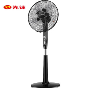 先锋电风扇/落地扇 家用办公10风叶大风量用摇头立式风扇定时省电落地扇台式电扇风扇落地 DD1707 DD1707