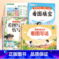 [4册]看图写话+仿写+填空+练字帖 二年级下 [正版]看图写话一年级上学期二年级专项训练上册每日一练人教版小学生课外阅