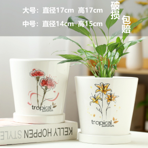 [补贴10%]中号花盆陶瓷特价清仓带托盘创意白色绿萝欧式简约超大桌面