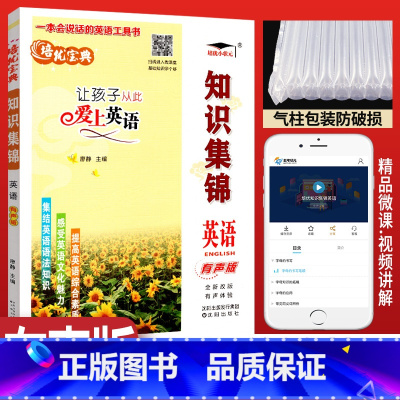 [正版]培优宝典知识集锦英语有声版人教外研通用 让孩子从此爱上英语小学英语基础知识大全 小学四五六年级英语基础知识集锦